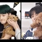 [NCT칠프] 강<b>강주</b> 털찐 거봐