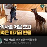 [NCT칠프] <b>유튜브</b>에서 이 썸네일 보고 캡해놨었는데