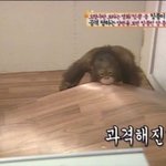 [댓글부탁해] 다이어트단톡 이름 ㅊㅊ해주라 빨리