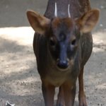 [NCT드림] 헐 해찬푸두 근황