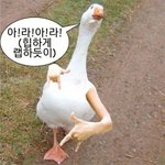 [댓글부탁해] <b>새</b>학기<b>날</b> 이거 추반해주라 ㅠㅠ