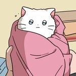[19] 10대판에서 임테기 사진 올라오면 한숨나옴