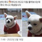 [댓글부탁해] 지성 <b>샴푸</b> 추천 좀 .ᐟ .ᐟ .ᐟ