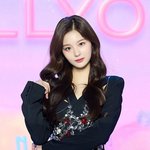 [모두드루와] 설윤 이거 노보정 기사사진이래 말도안돼