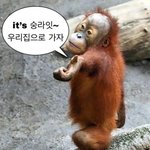[댓글부탁해] 요즘 카페들 단체로 미친거같음