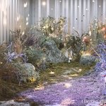 야생돌 탄 TAN 1st <b>Mini</b> Album <1TAN> 데뷔 앨범...