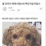 고딩들 개학 감흥있냐