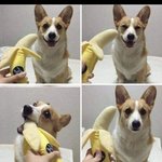 [댓글부탁해] 말 먼저 거는 거 싫어하는 애 없지?