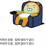 [ㅈㄱㄴ] 약간 <b>정시</b>로 대학가서 기분 좋은거는