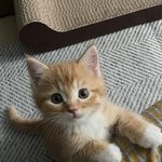 얘들아 나 방금...........