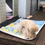 [댓글부탁해] 지구 <b>선행</b> 안햇는데 ㄱㅊ아ㅠ?!!!!!!!!