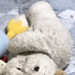 [댓글부탁해] 21년 된 강아지 인형 찾아요ㅜㅜㅜㅜ
