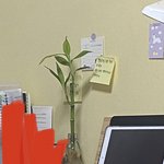 [드루와] 와 내방 갑자기 인스타<b>갬성</b>으로 변함;;