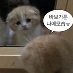 [댓글부탁해] <b>다른반</b> 친구랑 밥 먹는거 오바임??