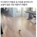 와 얘네 라이브 뭐냐...?