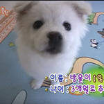 <b>이마</b> 좁은데 앞머리 내리니까