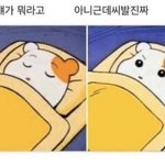 [댓글부탁해] 너네 자가<b>키트</b> 해야됨?