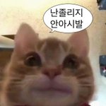 [드루와] 얘랑 나랑 밥 같이먹을 확률 ㅈㄴ<b>희박</b>함..??