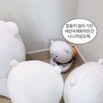 [댓글부탁해] 스타킹 올 나갔는데