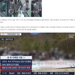 여성들 입장에서는 여가부폐지가 달갑지 않은게 당연함.