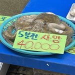 [드루와] 동네 따라 타고 다니는 차 진짜 다른듯
