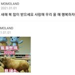 ㅅ..ㅂ 마르코 귀여워서 감겼더니 1초만에 팍<b>식이</b>네