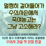 5년된 중고 강아지라고? 수의사 상대 첫 승소판결