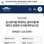 [드루와] 고양이 좋아하면 들어와줘