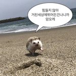 [19] 새학기에도 ㄹㅇ 찐따는 티가 나