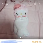 [드루와] 아니 당근마켓 마이멜로디 <b>필통</b> 이거 뭐냐ㅋㅋ