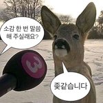 우리 이모 진짜 부럽다