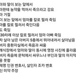 이재명의 조카살인변호 실드가 애처로운이유