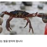 [댓글부탁해] 솔직히 <b>재수생</b>들 ㅈㄴ한심한게