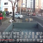 진돗개를 물어뜯은 골든리트리버 두마리