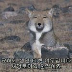 한 번만 클릭해 주라 진지하게 공부를 시작하고 싶은데 얘들아