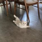 유학 온 거 <b>후회</b>된다