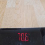 <b>햄</b><b>찌</b>공쥬 다이어트 4일차