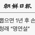 아니 <b>안철수</b> 대체 뭐임