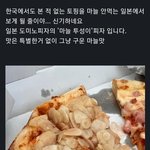 개쩌는 일본 <b>마늘</b>피자