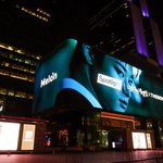 나 혼자만 레벨업 더보이즈 <b>Echo</b> Ost