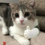 [NCT칠프] 우리반에 칠프 엄청 많음