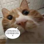 고2 새학기 고민