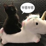 <b>옷</b>잘입고<b>키</b>큰존못남vs어좁멸치존잘남