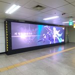홍대에 이게 뭐<b>시라</b>!