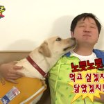 사진ㅇ강쥐한테 물렸어 지금 ㅠ응급실여냐