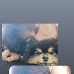 뷔 인스스 업데이트(+<b>연탄이</b>)