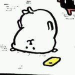 머글인데 랜덤 다이버 시티 어<b>카지</b>