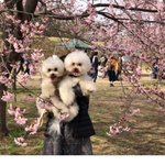 3년전 <b>동창</b>이 성형하고 인스타스타돼서 팔로우 걸면