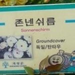 [댓글부탁해] 엄마가 코로나 <b>양성</b>인데 나 열나는 거 같아