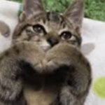 [NCT드림] 우리도 다 같이 쩗쭓짧!!!!!!